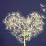 Profile picture of zara85